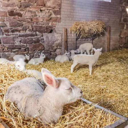 Semesterbostad Hill Farm