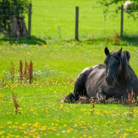Tatil Evi Hill Farm