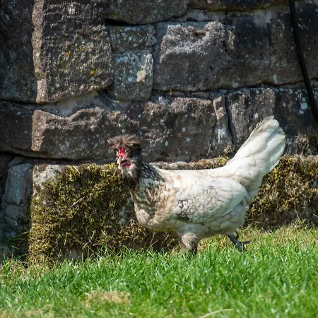 Hill Farm Dom wakacyjny Penrith